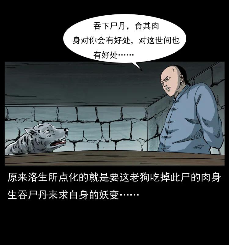 66.jpg