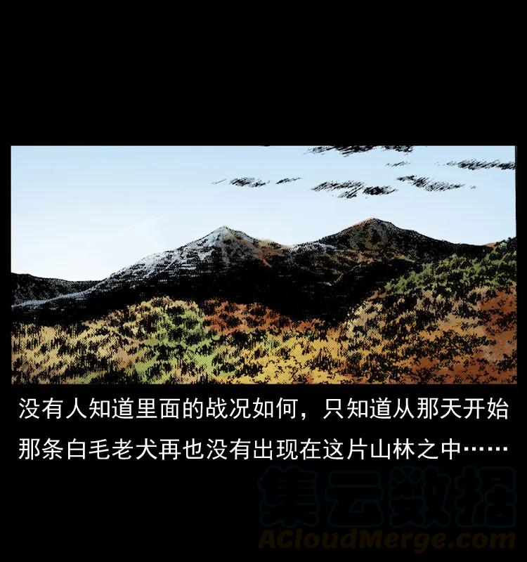 73.jpg