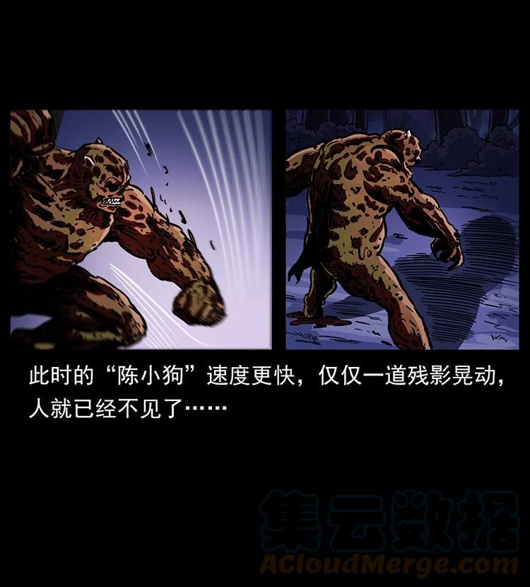 37.jpg