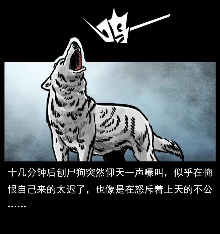 48.jpg