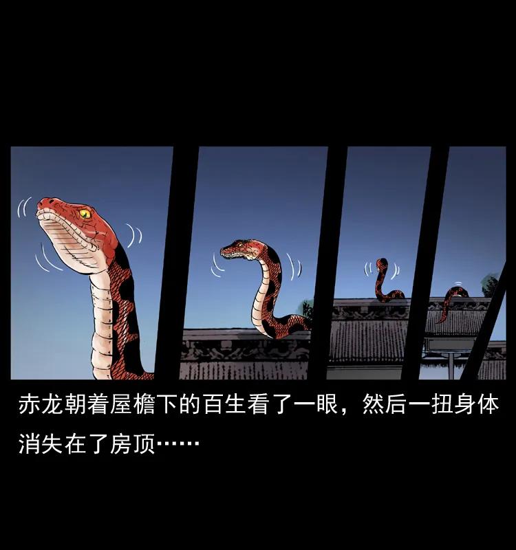 78.jpg