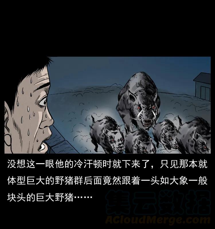 77.jpg