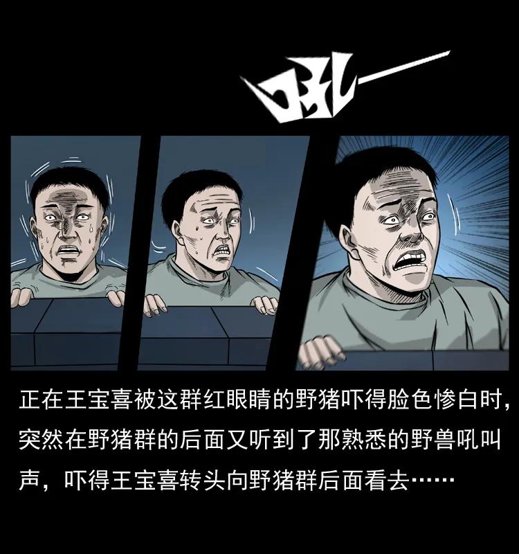 76.jpg