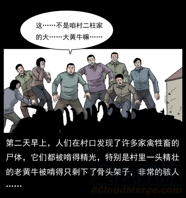 81.jpg