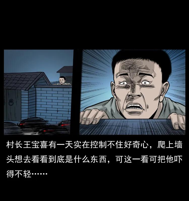 74.jpg