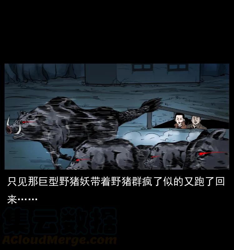 57.jpg