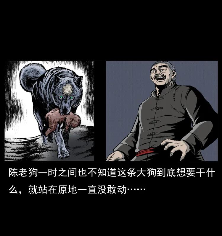 51.jpg