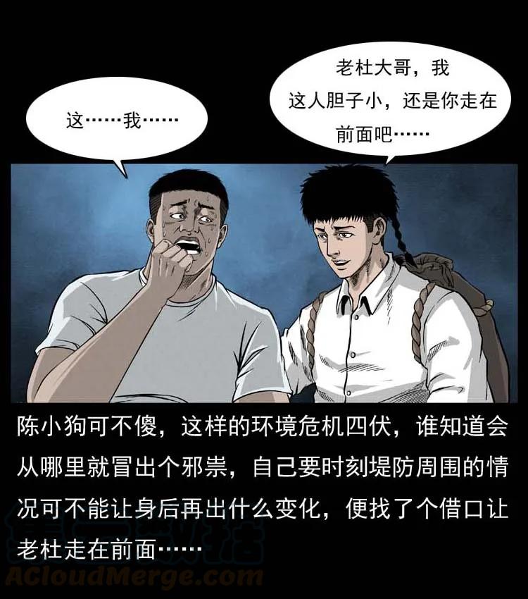 41.jpg