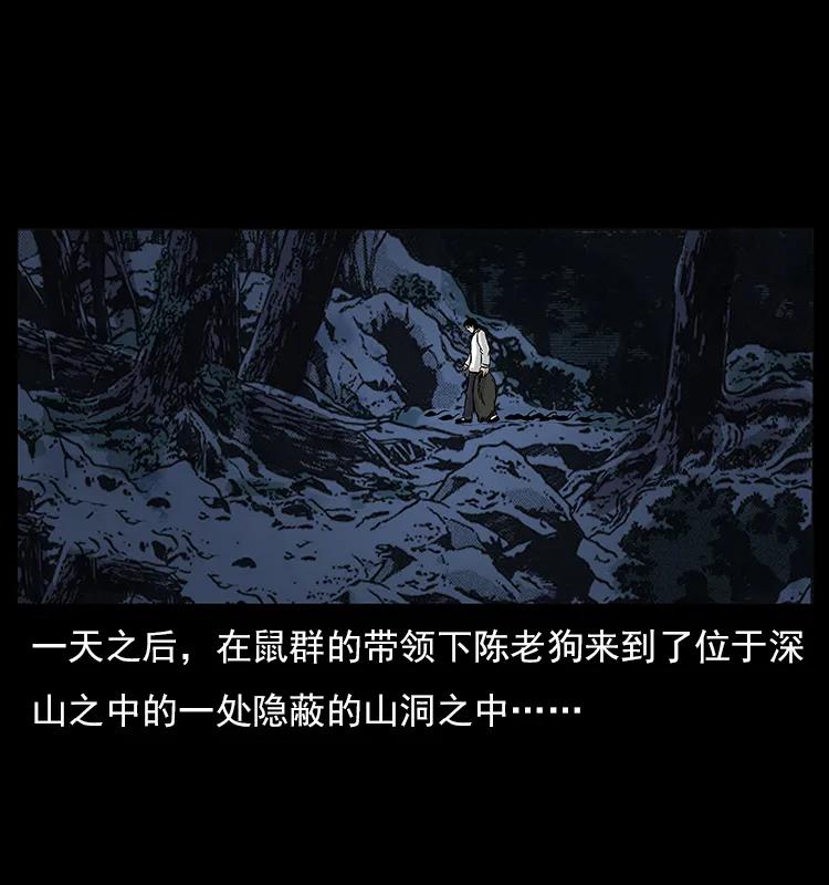 75.jpg