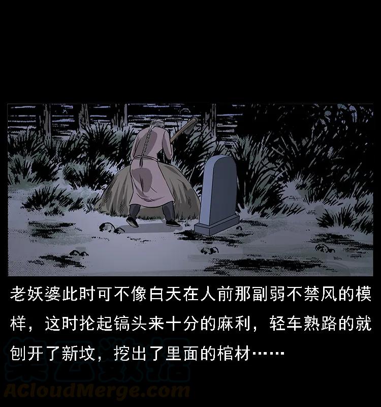 77.jpg