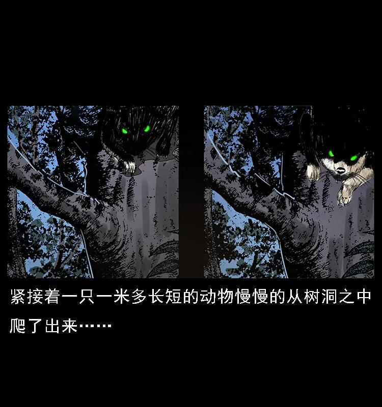 71.jpg