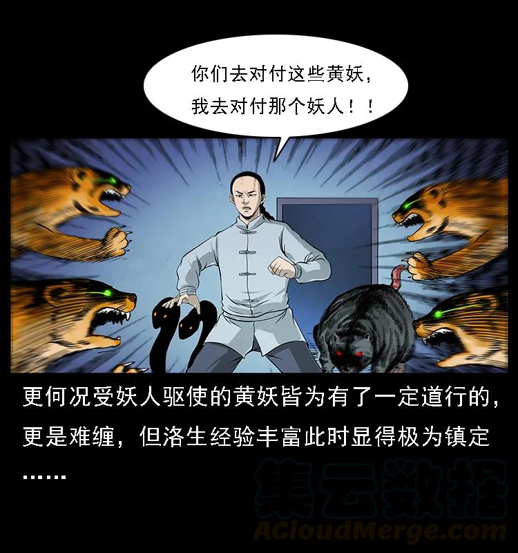 29.jpg