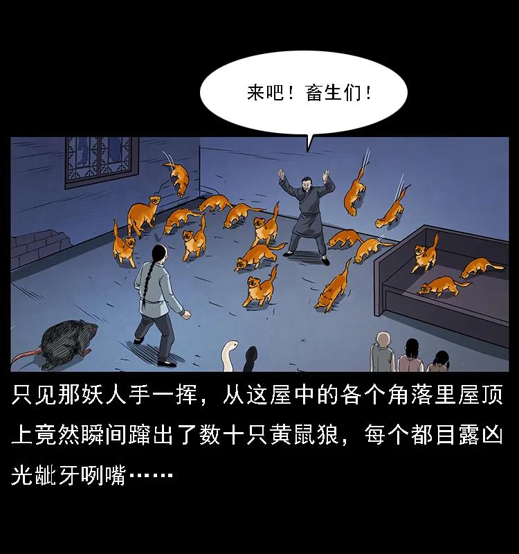27.jpg