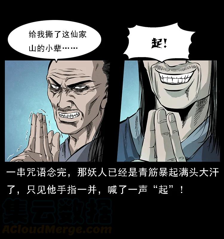 49.jpg