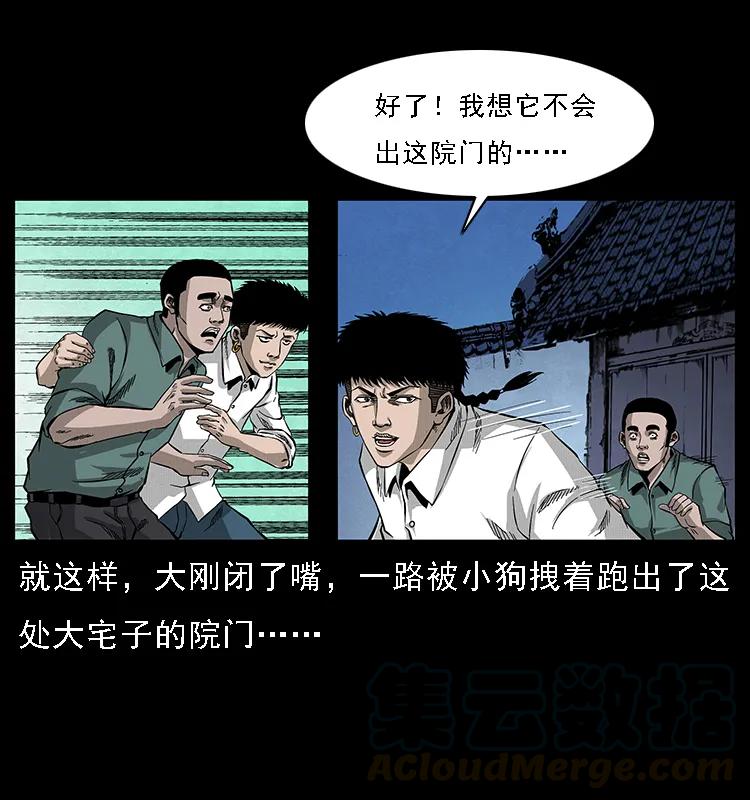 53.jpg