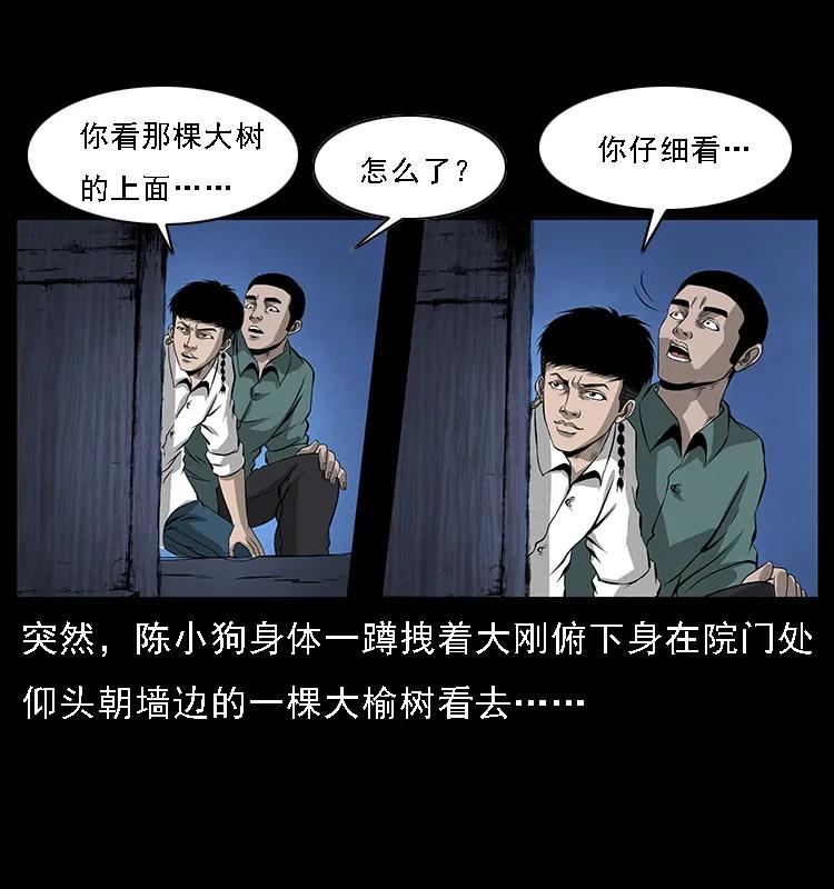 60.jpg