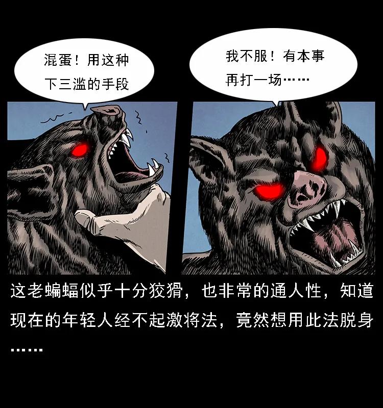 66.jpg