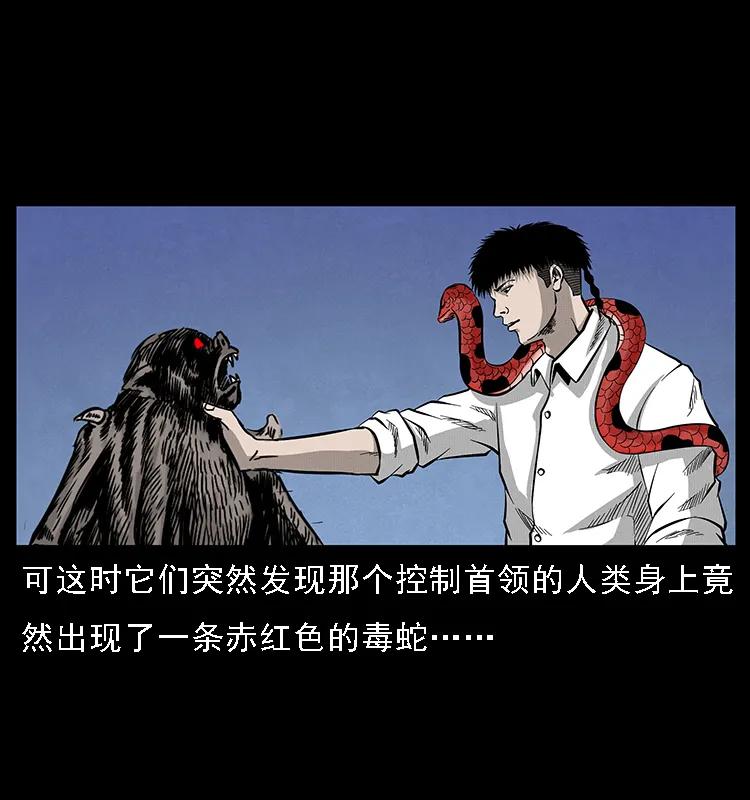 76.jpg
