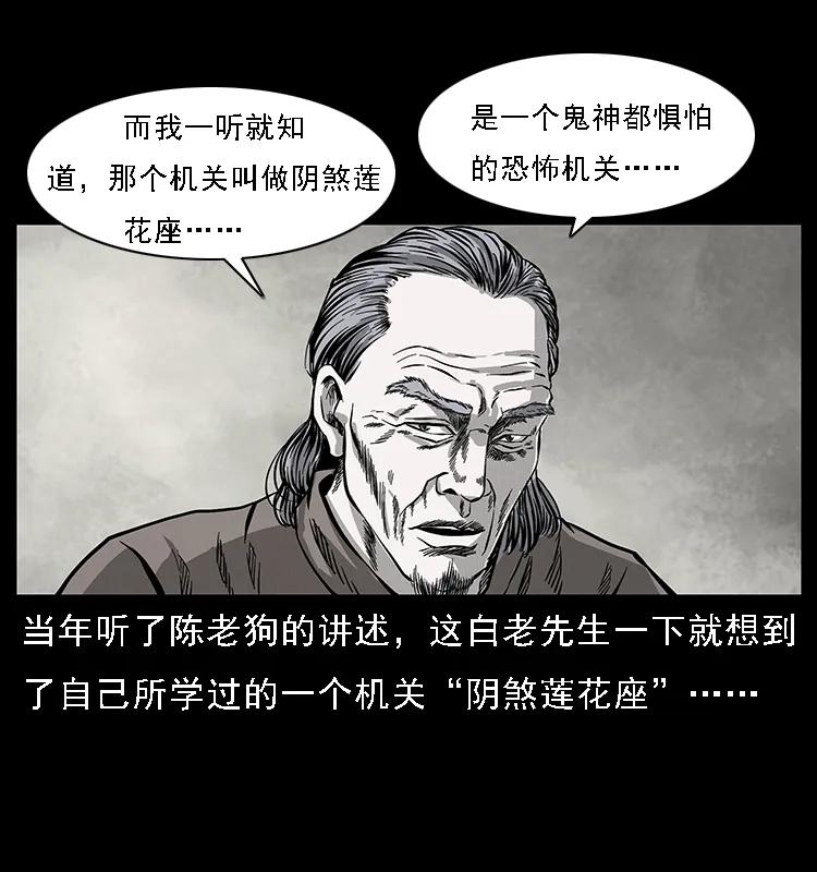 54.jpg