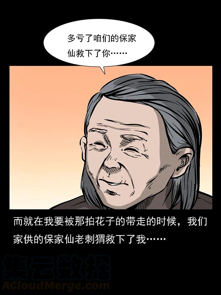 77.jpg