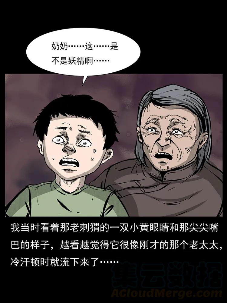 33.jpg