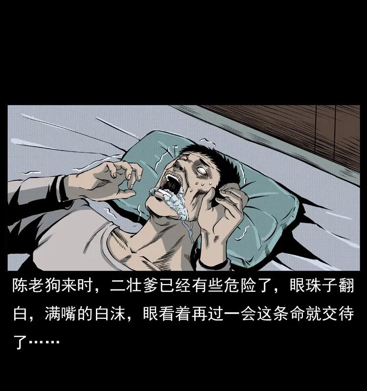 55.jpg