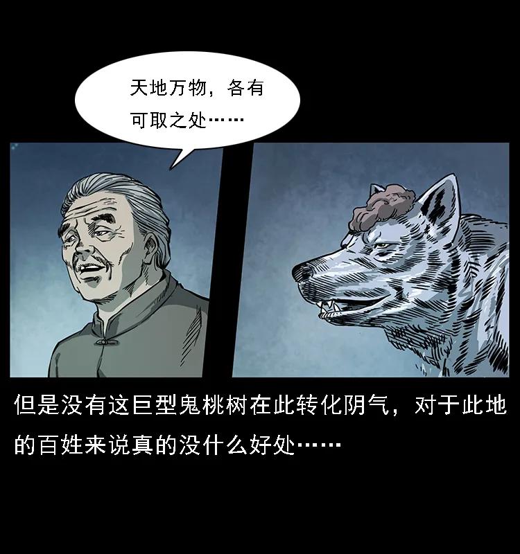 64.jpg