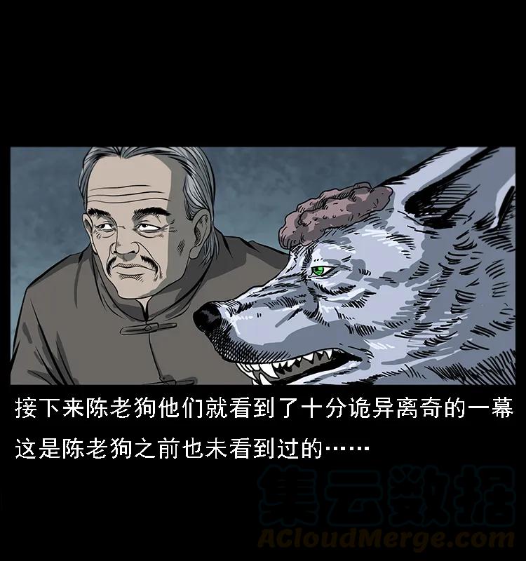 37.jpg