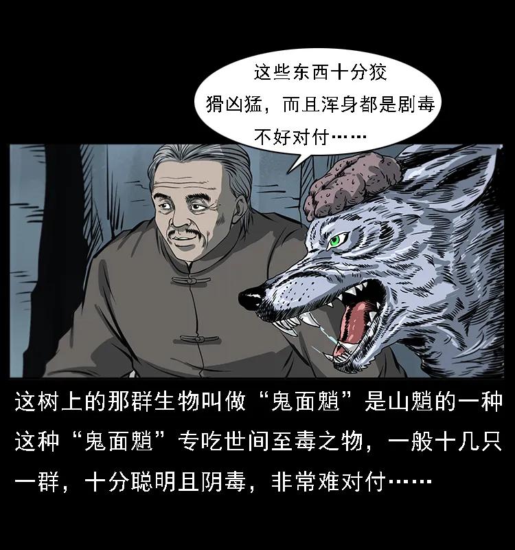 32.jpg