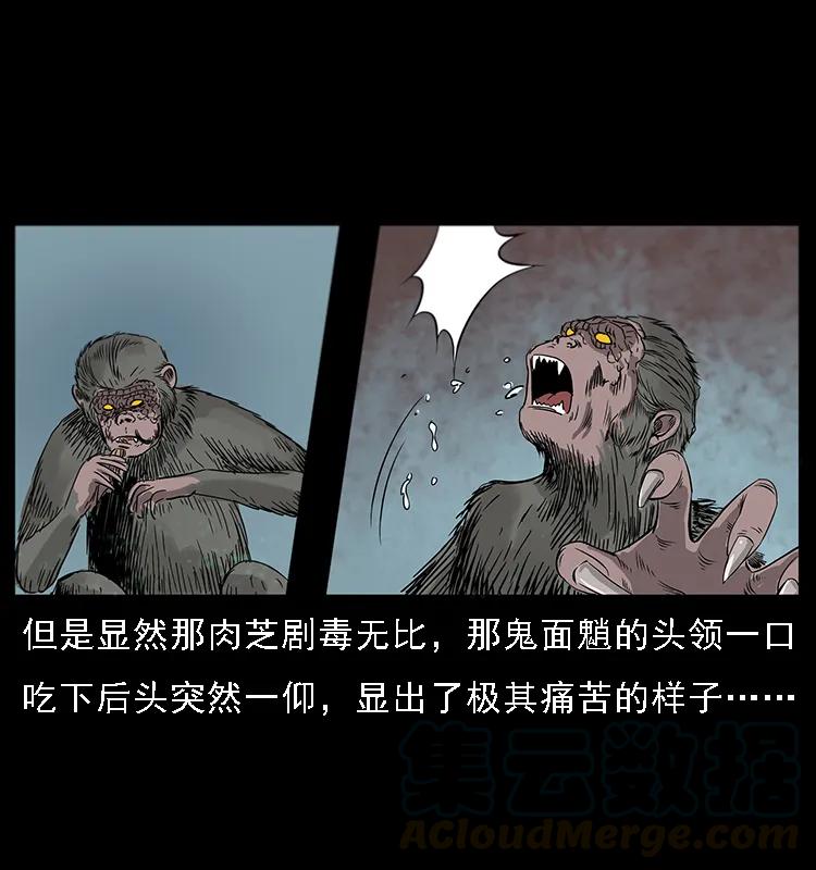 41.jpg