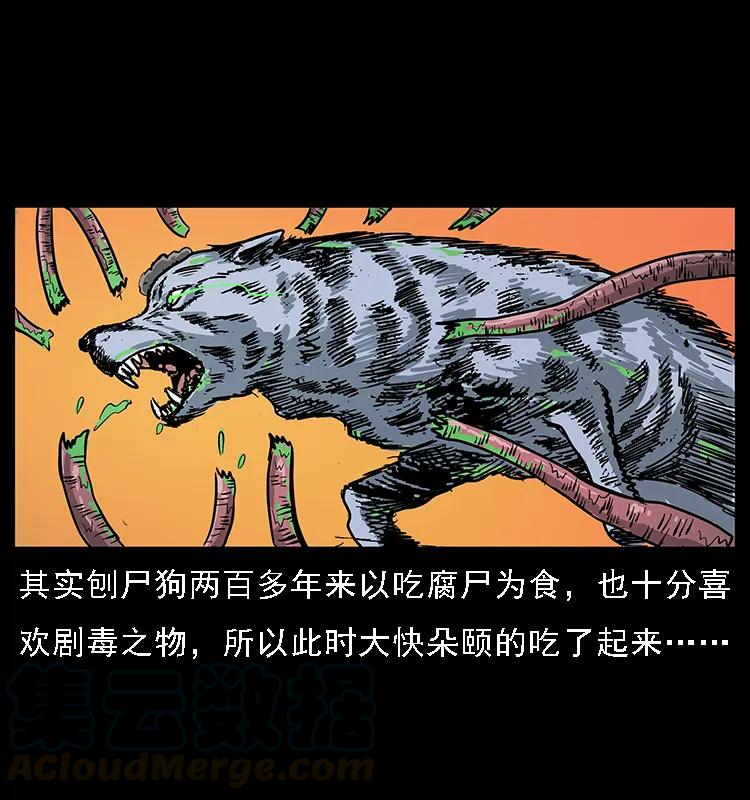 73.jpg