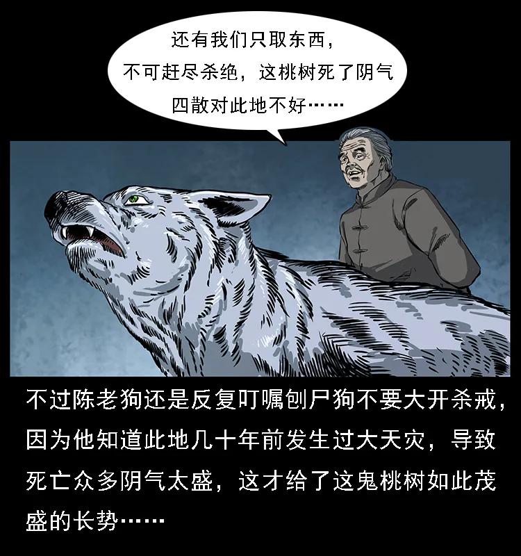 63.jpg