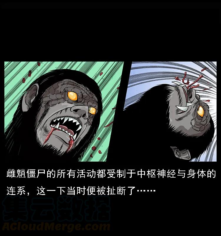 65.jpg