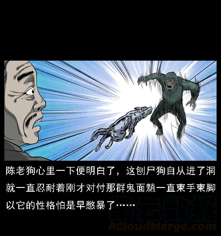 41.jpg
