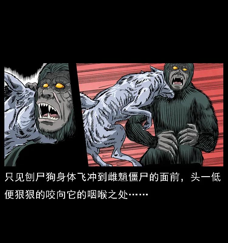 42.jpg