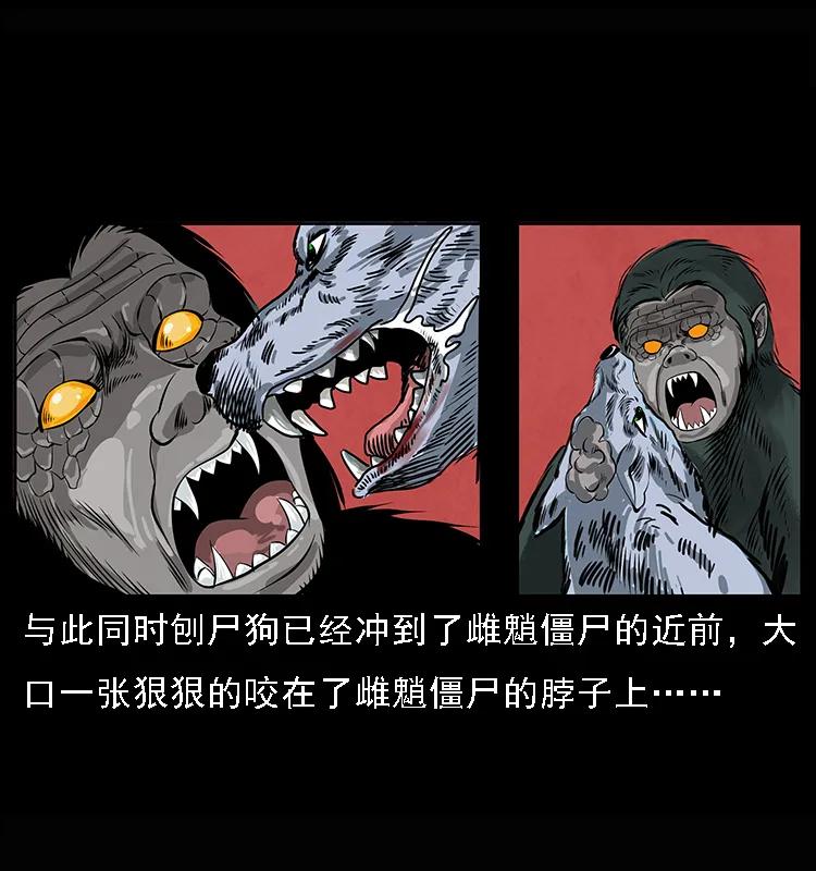 62.jpg
