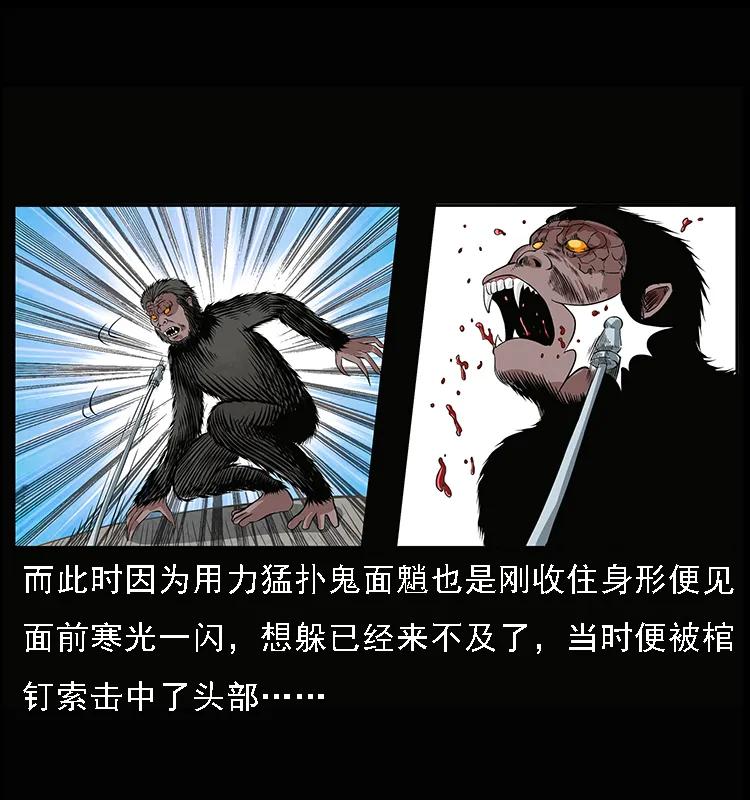 51.jpg