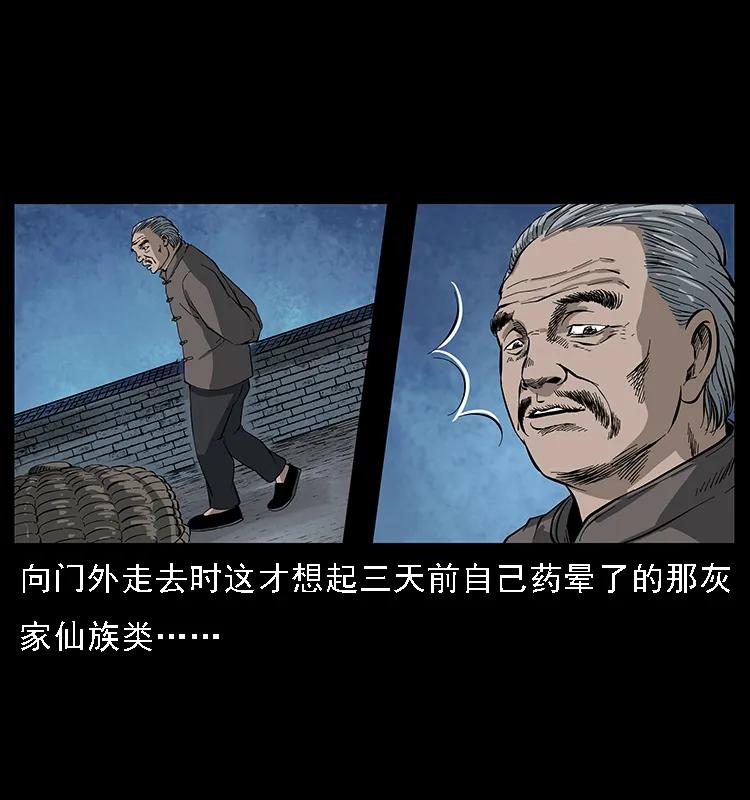 52.jpg