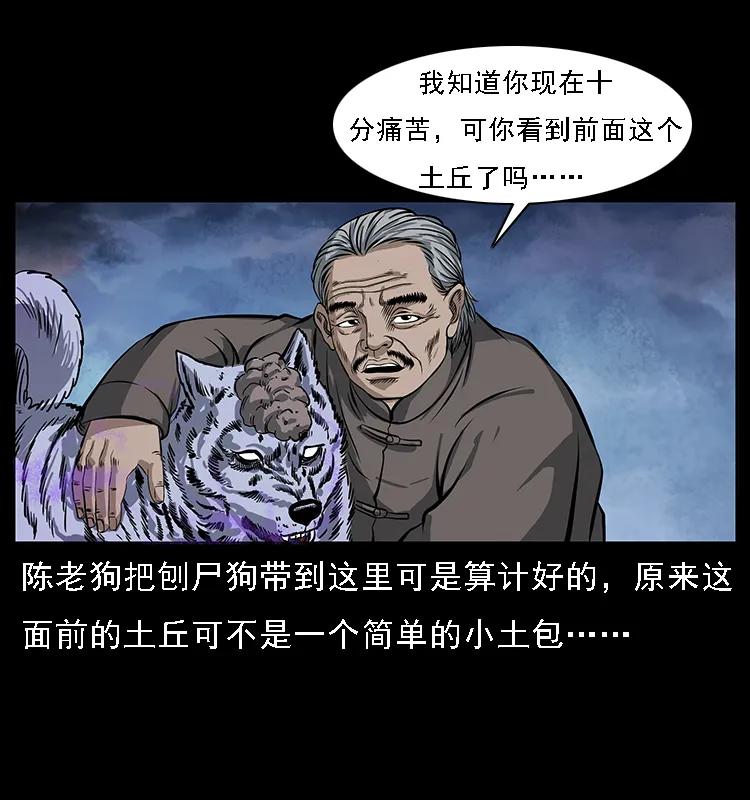 26.jpg