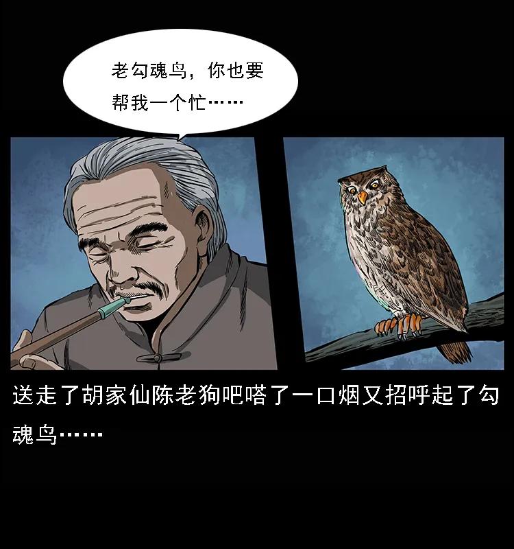 68.jpg