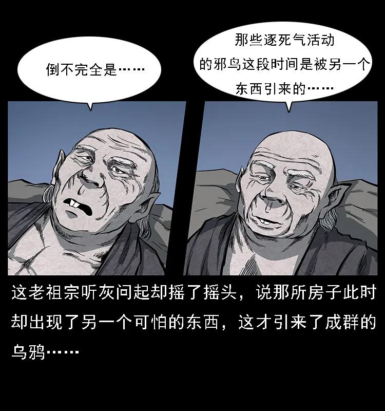 44.jpg