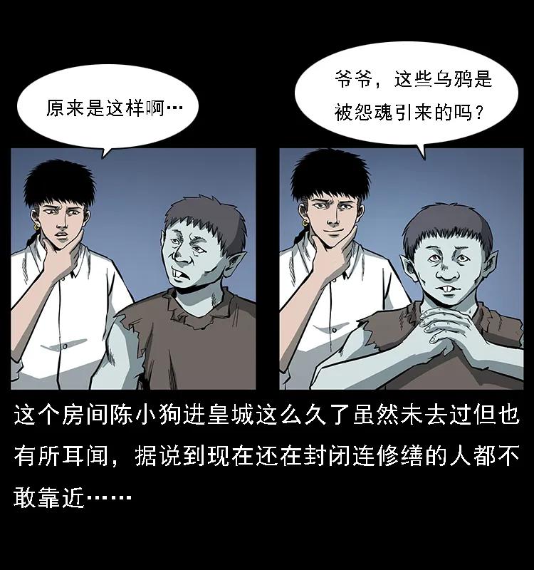 43.jpg