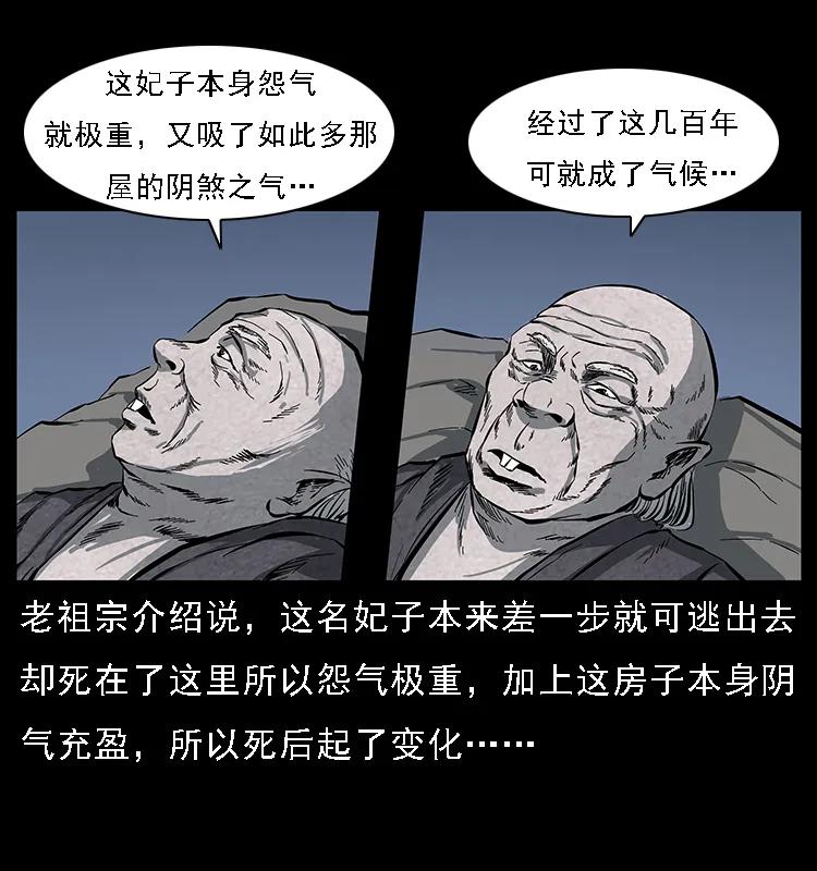 48.jpg