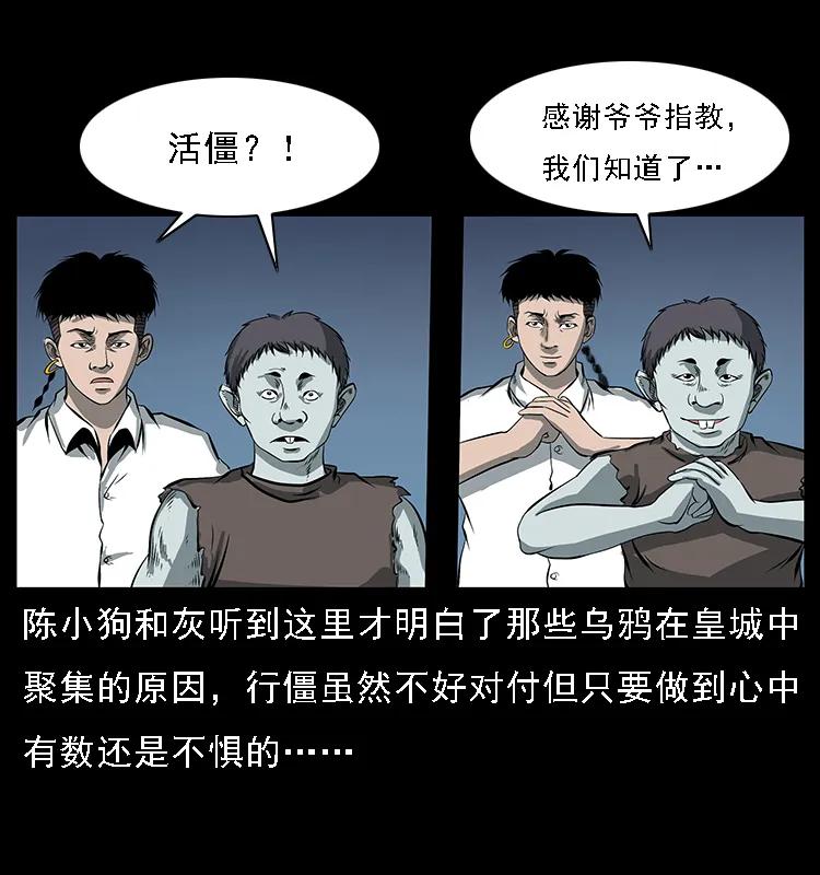 51.jpg