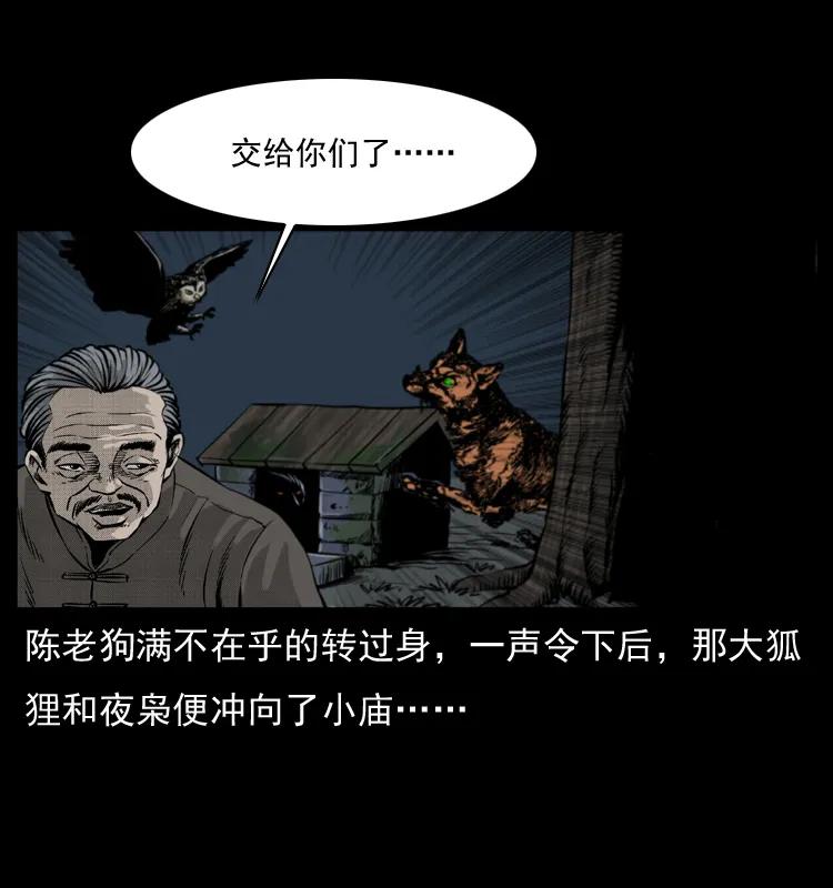 65.jpg