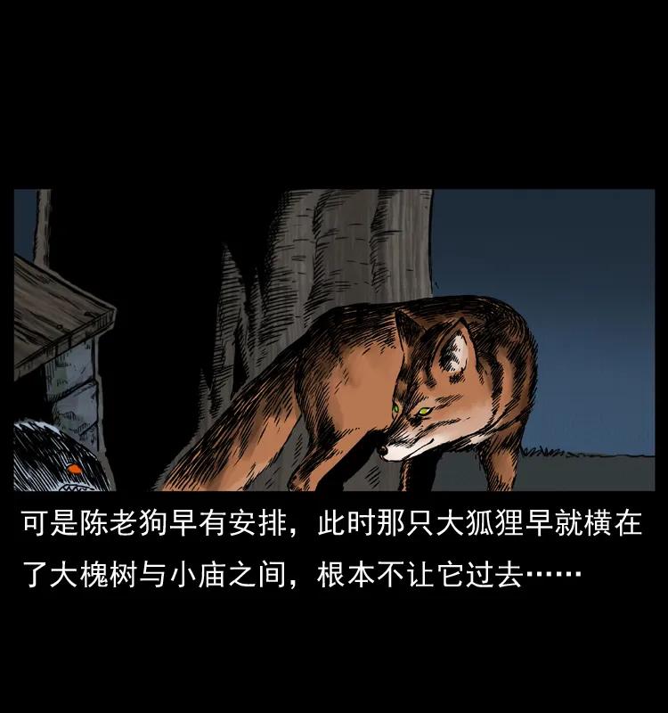 61.jpg