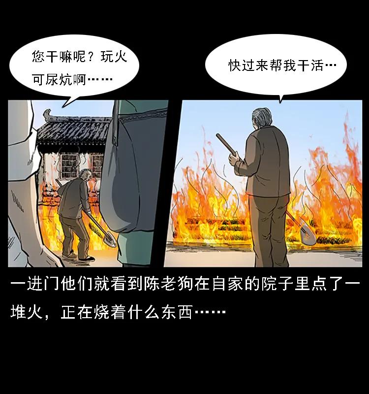 49.jpg