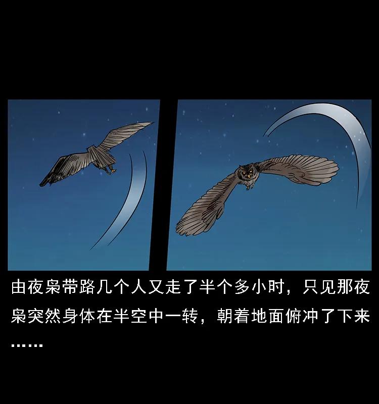 62.jpg