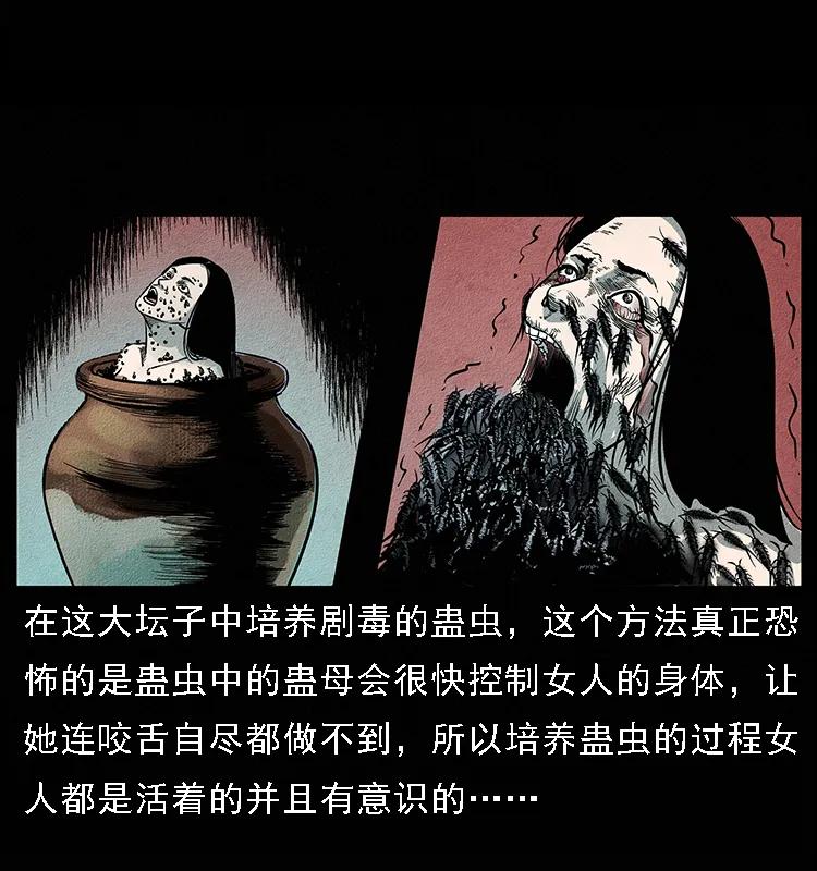 51.jpg