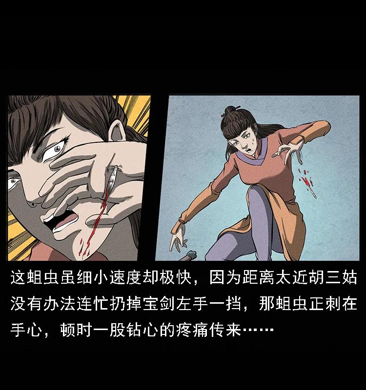 31.jpg